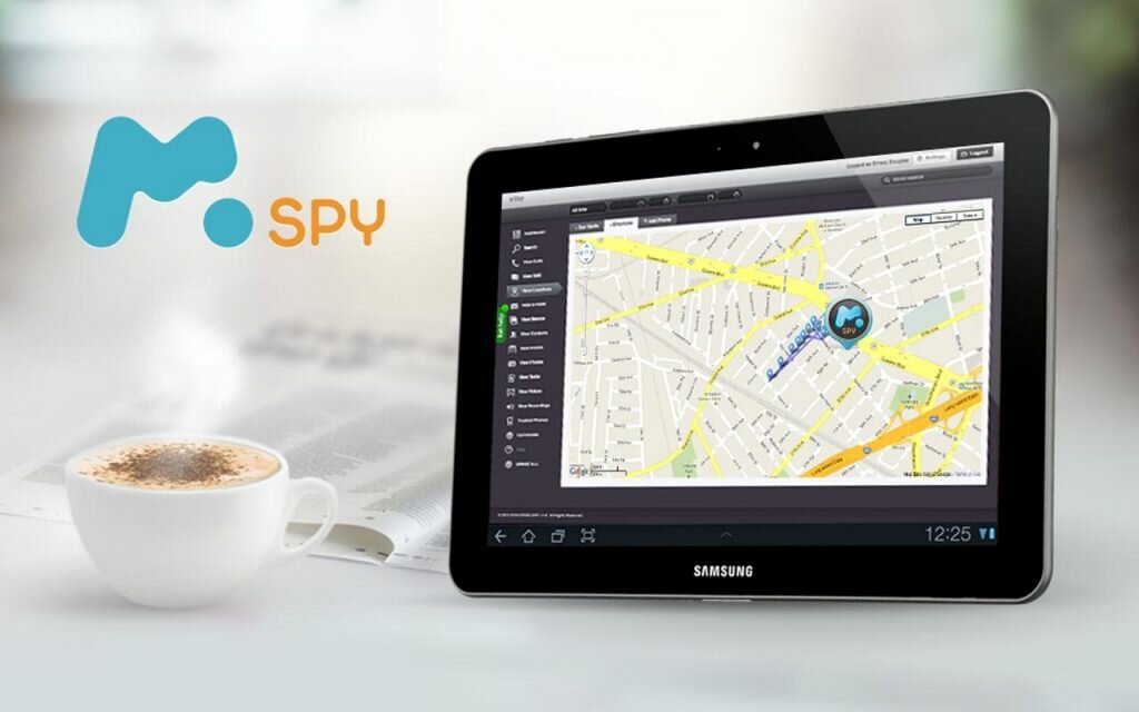 mspy panel